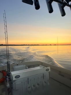 Fishing in Hampton Bays