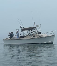 Fishing in Hampton Bays