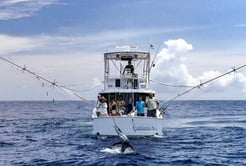 Fishing in Playa Herradura