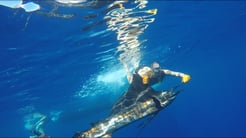 Fishing in Playa Herradura