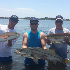 Fishing in Tierra Verde