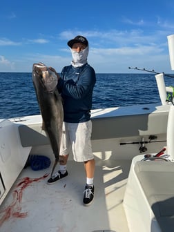 Amberjack fishing in Freeport, Texas