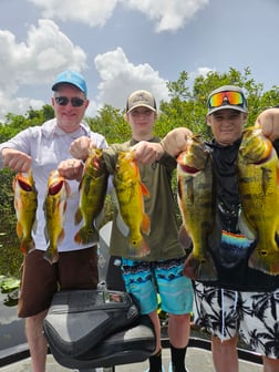 Fishing in Fort Lauderdale, Florida