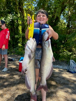 Fishing in Oxford, Mississippi