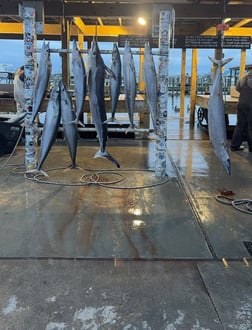 Fishing in Boothville-Venice, Louisiana