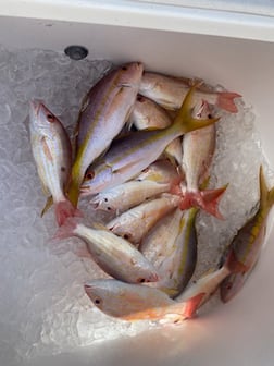 Fishing in Key West, Florida