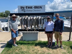 Atlantic Salmon fishing in St. Joseph, Michigan