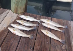 Redfish fishing in Hatteras, North Carolina