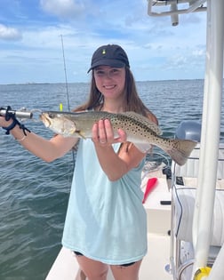 Speckled Trout / Spotted Seatrout fishing in Sarasota, Florida