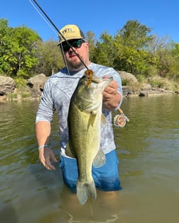 Largemouth Bass Fishing in Graford, Texas