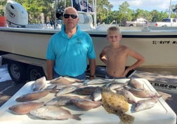 Redfish, Sheepshead Fishing in St. Petersburg, Florida