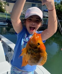 Peacock Bass Fishing in Palmetto Bay, Florida