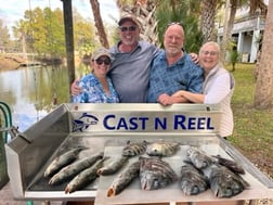 Mangrove Snapper, Speckled Trout / Spotted Seatrout Fishing in Crystal River, Florida