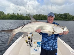 Tarpon fishing in Carolina, Carolina