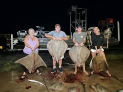 Ray, Stingray Fishing in Ocean Pines, Maryland