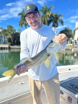 Blacktip Shark Fishing in Sarasota, Florida