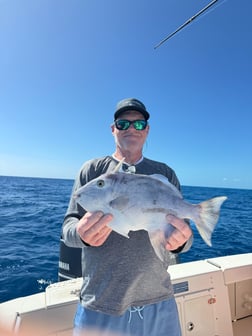 Fishing in Marathon, Florida