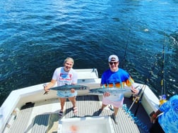 Barracuda Fishing in Pompano Beach, Florida