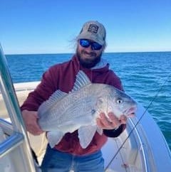 Black Seabass Fishing in Charleston, South Carolina