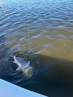 Fishing in Biloxi, Mississippi