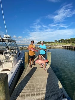 Red Snapper fishing in Gulf Shores, Alabama