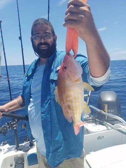 Red Snapper Fishing in Clearwater, Florida