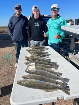 Speckled Trout / Spotted Seatrout Fishing in Sargent, Texas