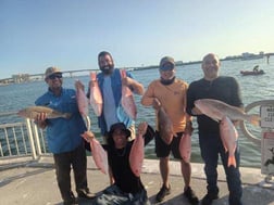 Red Snapper Fishing in Clearwater, Florida