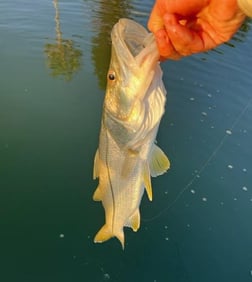 Redfish Fishing in New Smyrna Beach, Florida