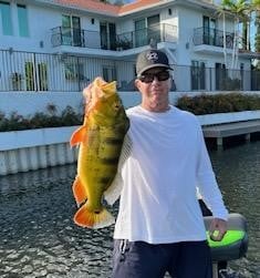 Largemouth Bass Fishing in Okeechobee, Florida, USA