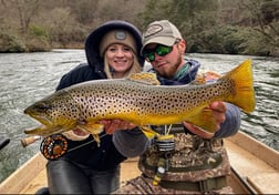 Brown Trout Fishing in Blue Ridge, Georgia