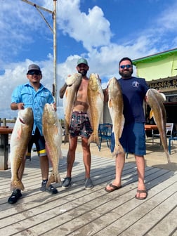 Redfish Fishing in Surfside Beach, Texas