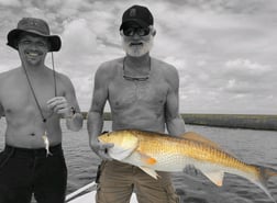 Speckled Trout / Spotted Seatrout fishing in Yscloskey, Louisiana