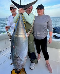 Yellowfin Tuna Fishing in Boothville-Venice, Louisiana