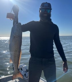 Speckled Trout / Spotted Seatrout Fishing in Galveston, Texas