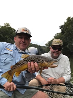 Brown Trout fishing in Roswell, Georgia