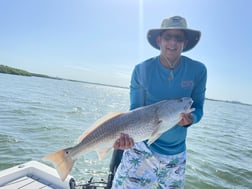 Redfish fishing in Clearwater, Florida