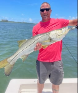 Snook fishing in Sarasota, Florida