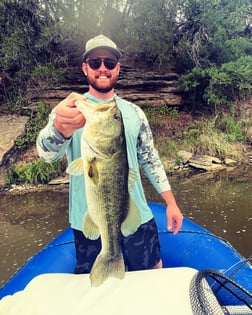 Largemouth Bass fishing in Graford, Texas