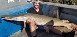 Alligator Gar Fishing in Livingston, Texas