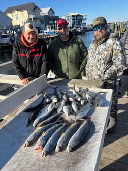 Fishing in Beaufort, North Carolina