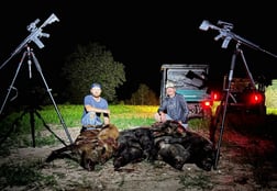 Hog Hunting in Fulshear, Texas