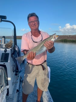 Fishing in Laguna Vista, Texas