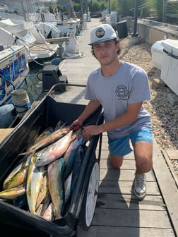 Mahi Mahi Fishing in Montauk, New York