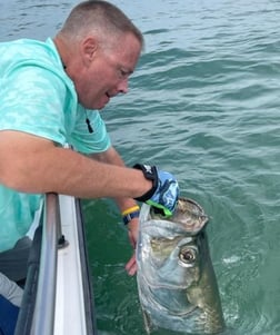 Tarpon fishing in Trails End, North Carolina