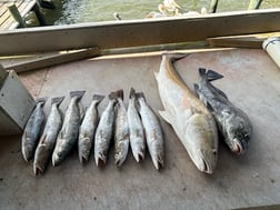 Fishing in Galveston, Texas