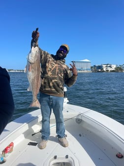 Fishing in Orange Beach, Alabama