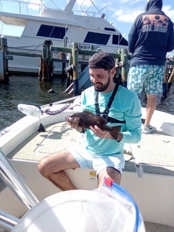 Fishing in St. Petersburg, Florida