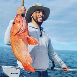 Rockfish Fishing in Bodega Bay, California