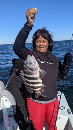 Sheepshead Fishing in St. Petersburg, Florida